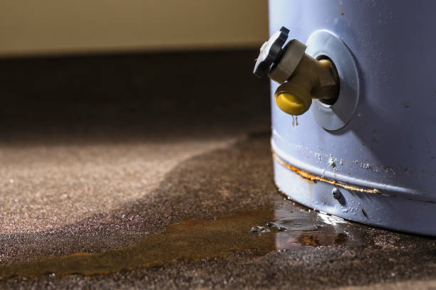 Best Water damage restoration cost  in Albany, TX