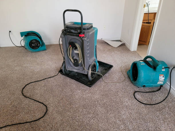 Best Ceiling water damage repair  in Albany, TX