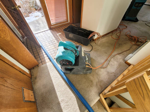 Best Residential water damage restoration  in Albany, TX