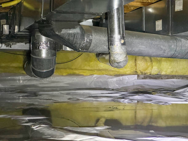 Best Water damage contractors near me  in Albany, TX