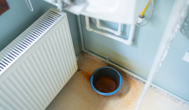 Best Local water damage restoration  in Albany, TX