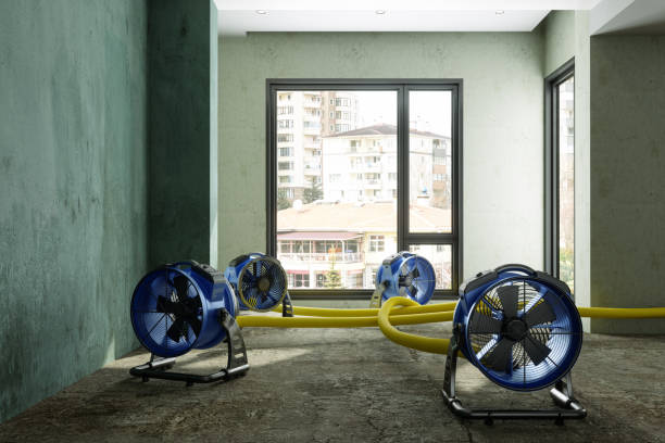 Best 24/7 water damage repair  in Albany, TX
