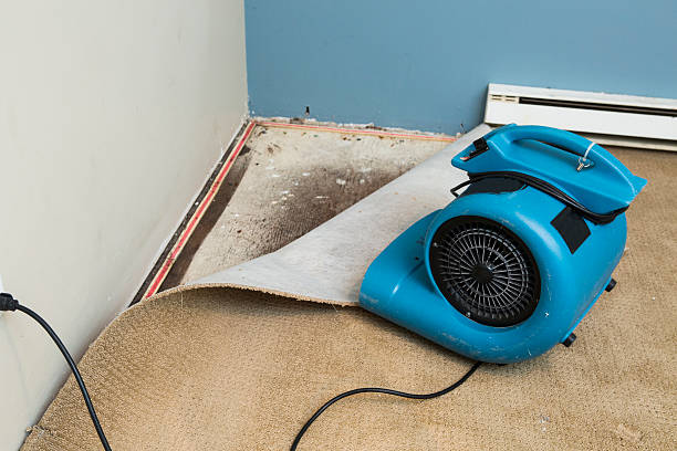 Best Water damage restoration near me  in Albany, TX